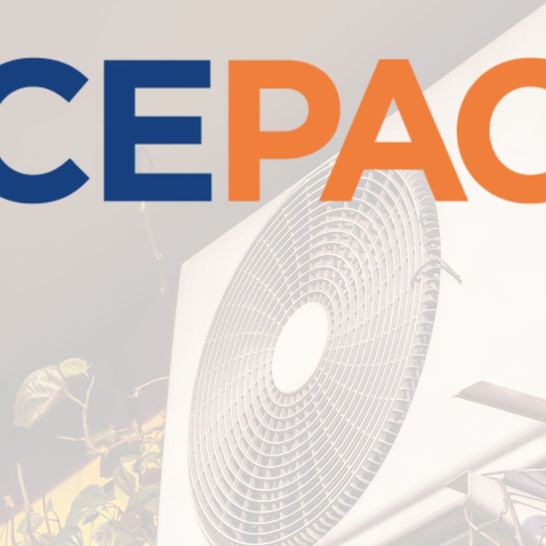 Cache Cepac Naissance du CEPAC : le SYNASAV en première ligne - Syndicat National ...